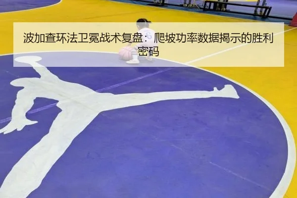 bo-jia-cha-huan-fa-wei-mian-zhan-shu-fu-pan-pa-po-gong-lv-shu-ju-jie-shi-de-sheng-li-mi-ma-2-499.jpg