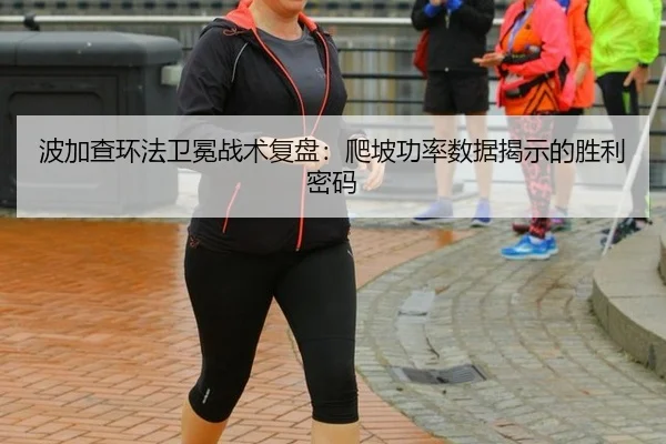 bo-jia-cha-huan-fa-wei-mian-zhan-shu-fu-pan-pa-po-gong-lv-shu-ju-jie-shi-de-sheng-li-mi-ma-3-676.jpg