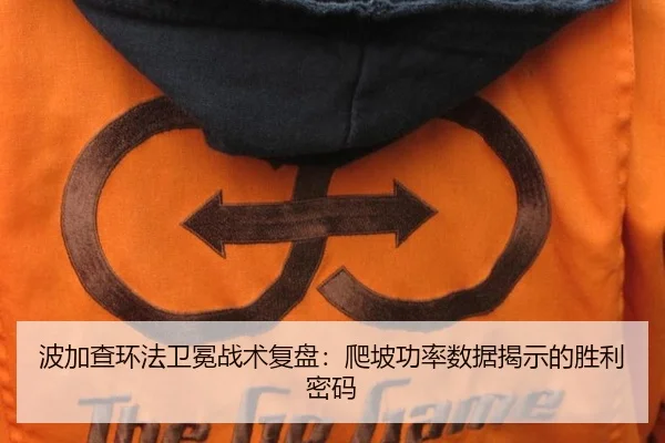 波加查环法卫冕战术复盘：爬坡功率数据揭示的胜利密码