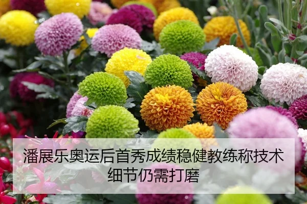 潘展乐奥运后首秀成绩稳健教练称技术细节仍需打磨