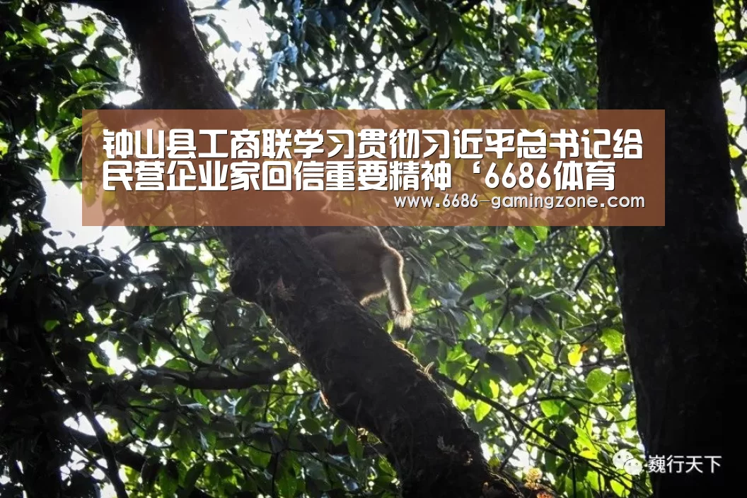 钟山县工商联学习贯彻习近平总书记给民营企业家回信重要精神‘6686体育直播’(图1) 6686体育平台